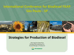 Strategies for Production of Biodiesel - João Augusto Araújo