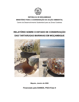 Relatório Sobre o Estado de Conservação de Tartarugas Marinhas