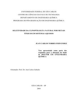 SELETIVIDADE DA CLINOPTILOLITA NATURAL POR METAIS
