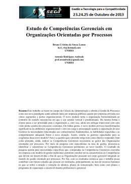 Estudo de Compet&ecirc;ncias Gerenciais em Organiza&ccedil;&otilde;es