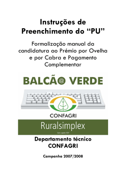 Instru&ccedil;&otilde;es de preenchimento do "PU" para formaliza&ccedil;&atilde;o