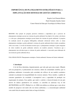 import&acirc;ncia do planejamento estrat&eacute;gico para a implanta&ccedil;&atilde;o dos