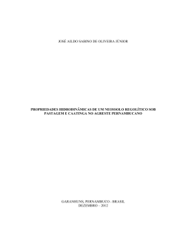 08. Disserta&ccedil;&atilde;o Jos&eacute; Aildo - Programa De P&oacute;s