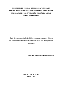 JOSE LUIZ SANCHES GONCALVES JUNIOR