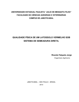 qualidade f&iacute;sica de um latossolo vermelho sob sistema de