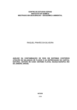 RAQUEL PINH&Atilde;O DA SILVEIRA - Universidade Federal Fluminense