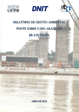 relat&oacute;rio de gest&atilde;o ambiental ponte sobre o rio araguaia br