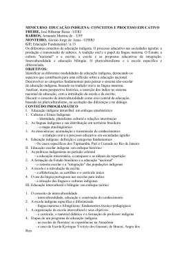 Educa&ccedil;&atilde;o ind&iacute;gena: conceitos e processos educativos