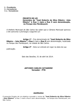 Jos&eacute; Roberto da Silva Ribeiro &ndash;Jota Ribeiro