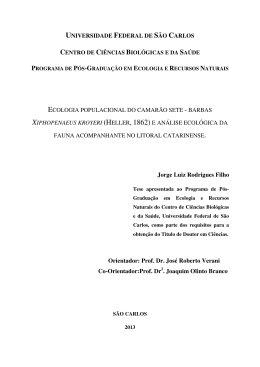Jorge Luiz Rodrigues Filho Orientador: Prof. Dr. Jos&eacute; Roberto