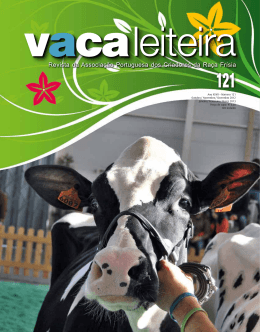 Ano XXVII &ndash; N&uacute;mero 121 Outubro/ Novembro/ Dezembro