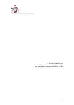 Disserta&ccedil;&atilde;o de Mestrado- Manuel Belo
