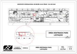 AEROPORTO INTERNACIONAL DE BEL&Eacute;MI JULIO C&Eacute;SAR