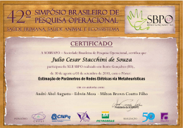 Julio Cesar Stacchini de Souza