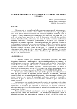 1 DEGRADA&Ccedil;&Atilde;O AMBIENTAL NO ESTADO DE MINAS
