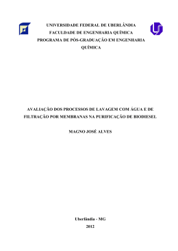 DISSERTA&Ccedil;&Atilde;O DE MESTRADO SUBMETIDA AO