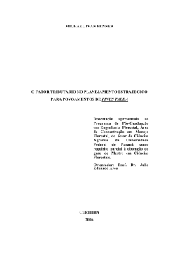 DissertacaoFinalMichaelFenner - DSpace