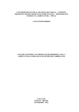 An&aacute;lise econ&ocirc;mica da produ&ccedil;&atilde;o de biodiesel para a