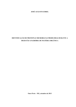 JOS&Eacute; AUGUSTO ZOREL IDENTIFICA&Ccedil;&Atilde;O DE PROTE&Iacute;NAS