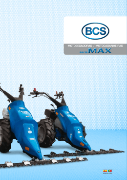 serie max