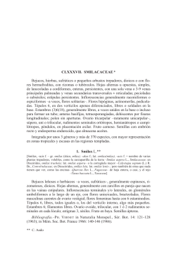 Descripci&oacute;n