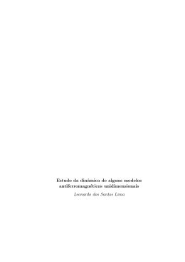 Estudo da din&acirc;mica de alguns modelos antiferromagn&eacute;ticos