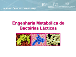 Engenharia Metabólica de Bactérias Lácticas