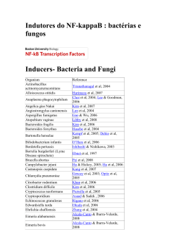 Indutores do NF-kappaB : bactérias e fungos Inducers