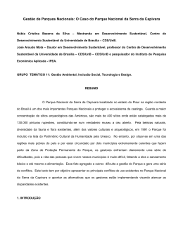 Gest&atilde;o de Parques Nacionais: O Caso do Parque
