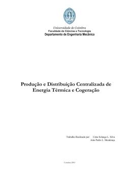 Produ&ccedil;&atilde;o e Distribui&ccedil;&atilde;o Centralizada de Energia T&eacute;rmica e