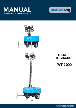 WT3000 - Weber MT