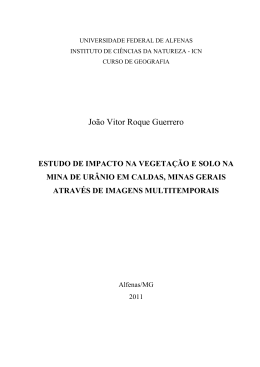 João Vitor Roque Guerrero - Unifal-MG