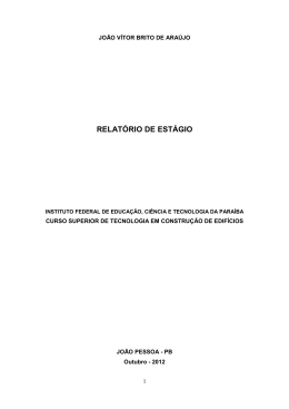 Relat&oacute;rio de Est&aacute;gio - Jo&atilde;o V&iacute;tor de Ara&uacute;jo