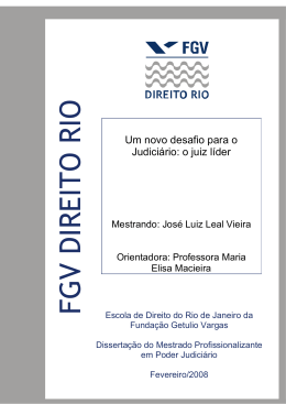 Disserta&ccedil;&atilde;o_Mestrado_FGV_Jos&eacute; Luiz L Vieira