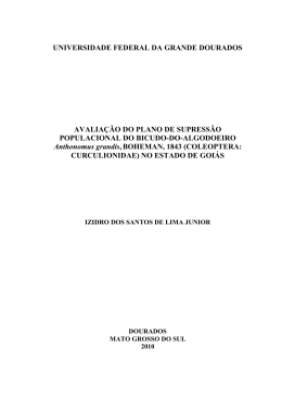 Dissertação Izidro dos Santos de Lima Junior