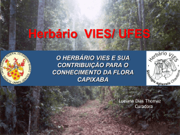 Herbário VIES/ UFES