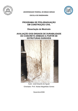 PROGRAMA DE PÓS-GRADUAÇÃO EM CONSTRUÇÃO CIVIL