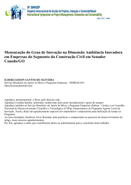 Mensura&ccedil;&atilde;o do Grau de Inova&ccedil;&atilde;o na Dimens&atilde;o Ambi&ecirc;ncia