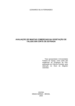 Disserta&ccedil;&atilde;o Leonardo Silva Fernandes