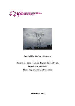 Disserta&ccedil;&atilde;o para obten&ccedil;&atilde;o do grau de Mestre em Engenharia