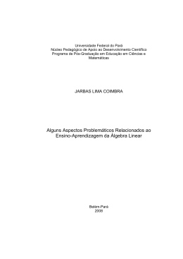 Alguns Aspectos Problem&aacute;ticos Relacionados ao Ensino