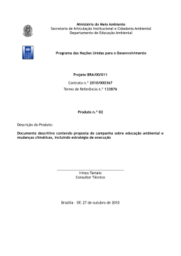 2.Documento descritivo contendo proposta de campanha sobre
