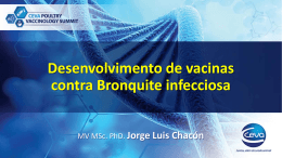 Estrat&eacute;gias para o controle
