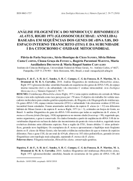 análise filogenética do minhocuçu rhinodrilus alatus, righi