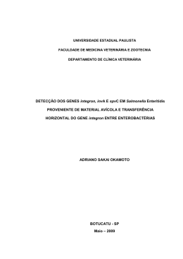 DETECÇÃO DOS GENES integron, invA E spvC EM Salmonella