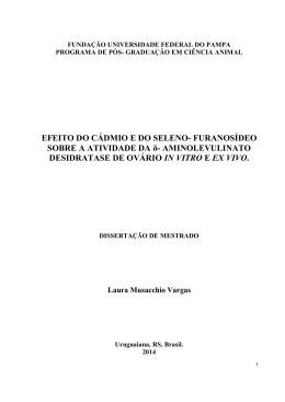 Laura Musacchio Vargas