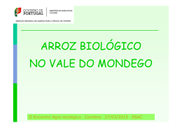 Arroz Biol&oacute;gico no Vale do Mondego: Apresenta&ccedil;&atilde;o de Ant&oacute;nio
