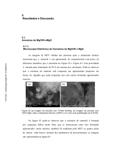 5. Resultados e Discuss&atilde;o.