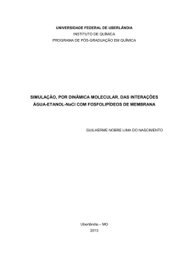 SIMULA&Ccedil;&Atilde;O, POR DIN&Acirc;MICA MOLECULAR, DAS