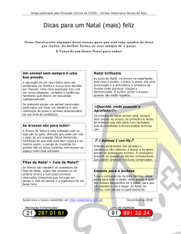 Dicas para um Natal (mais) feliz - Cl&iacute;nica Veterin&aacute;ria Quinta do Anjo